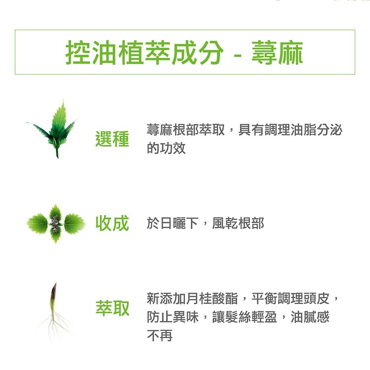 【2入組】KLORANE 蔻蘿蘭 控油洗髮精400ml