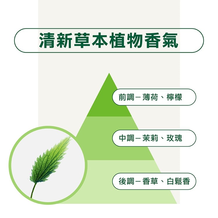 【2入組】KLORANE 蔻蘿蘭 控油洗髮精400ml