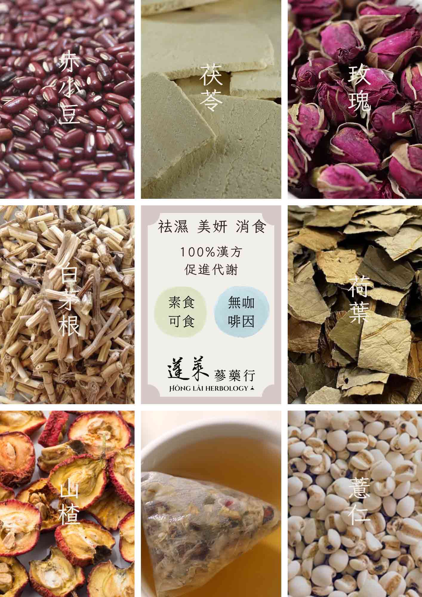 蓬萊嫣紅瑰蜜 輕纖茶 8入(玫瑰) 