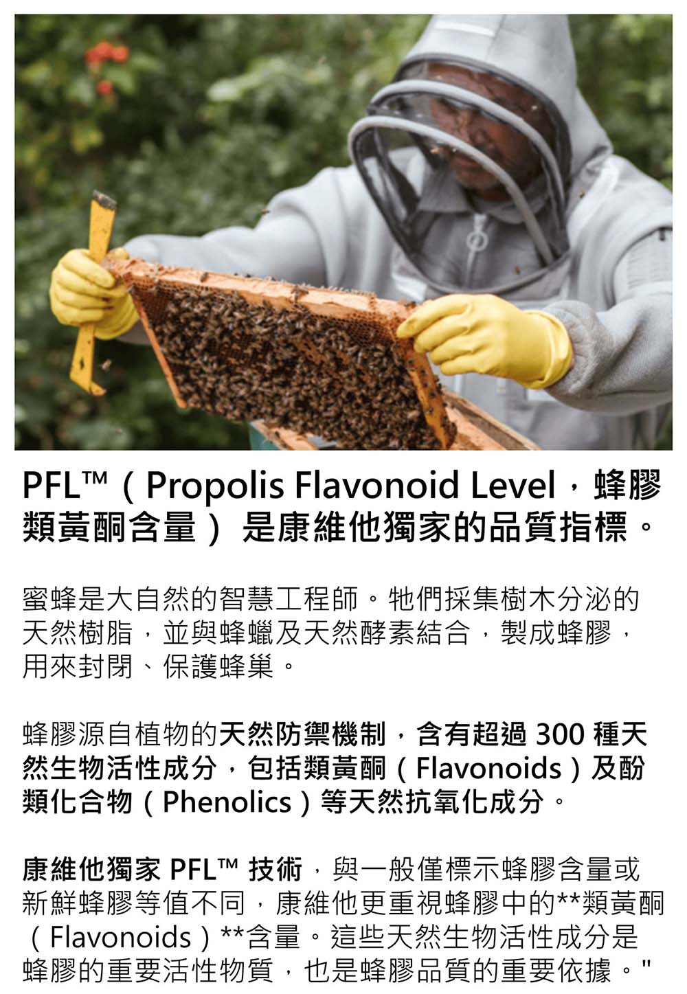 Comvita 康維他 PFL30 蜂膠萃取精華液 25ml 滋補強身