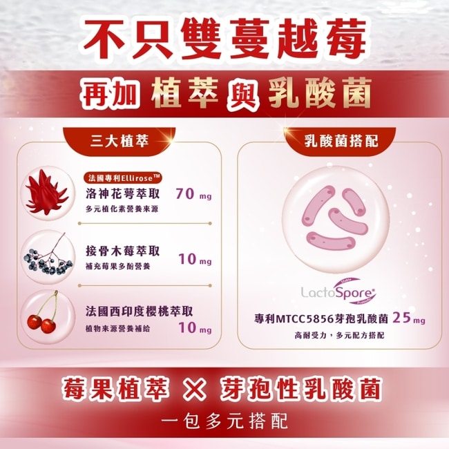 和泉 極淨密 蔓越莓甘露糖粉包 30包/盒 不只雙蔓越莓 含芽孢性乳酸菌 和泉 極淨密 蔓越莓甘露糖粉包 30包/盒 不只雙蔓越莓 含芽孢性乳酸菌