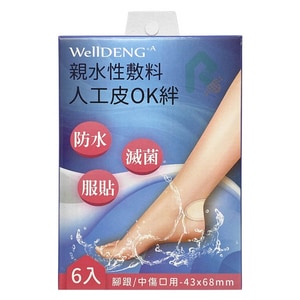 膚立舒 親水性敷料(滅菌) 6入