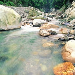 八仙山森林遊樂區