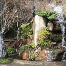 谷關溫泉公園
