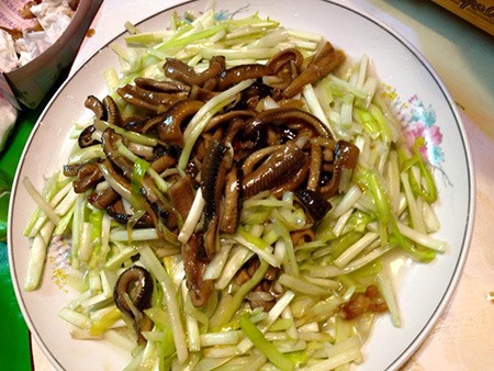 陋室小館-5