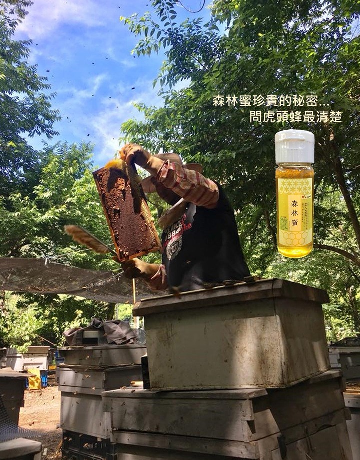 蜂蜜曉築養蜂場-谷關森林蜜 蜂蜜曉築養蜂場-谷關森林蜜