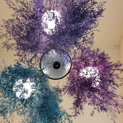 那一村豪華露營 場地佈置