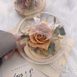 沉默之花說出愛