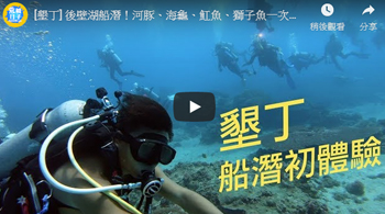 [墾丁] 後壁湖船潛！河豚、海龜、魟魚、獅子魚一次看盡興！