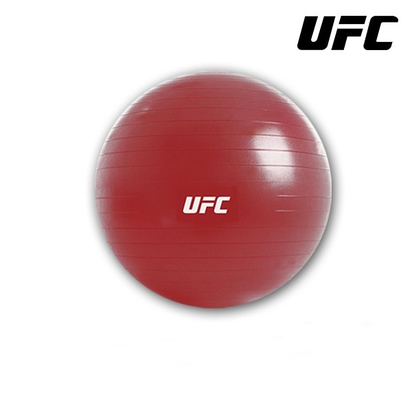 UFC 健身球 65cm