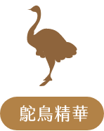 鴕鳥精華 鴕鳥精華