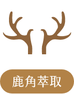 鹿角萃取 鹿角萃取