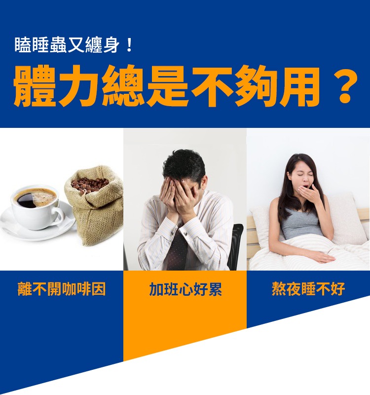 薑黃產品前導2 薑黃產品前導2