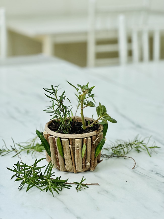 香草盆栽成品