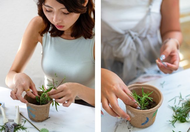 製作香草盆栽