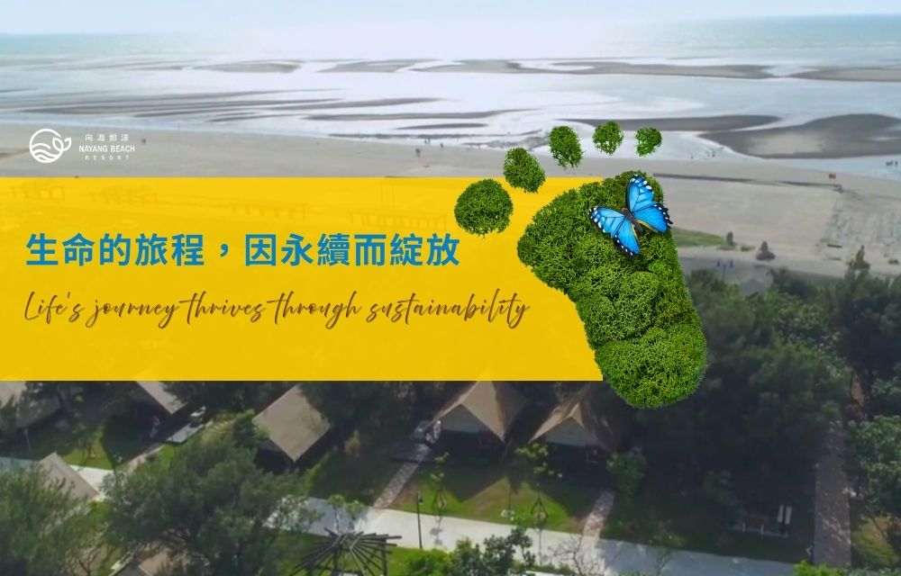 環境教育 環境教育