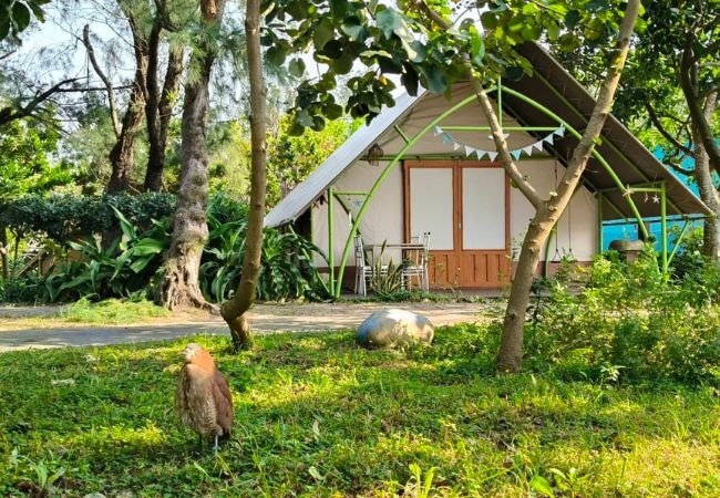 奢華露營，享受舒適