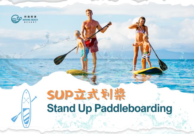 SUP立式划槳