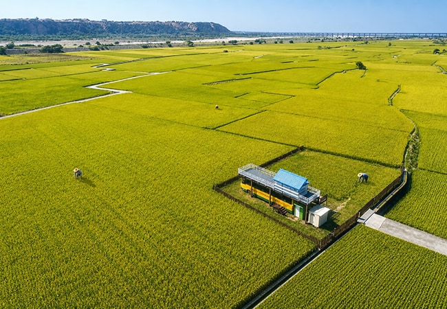 海岸田園生態體驗