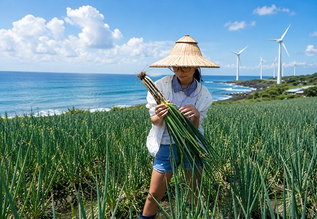 海岸田園生態體驗