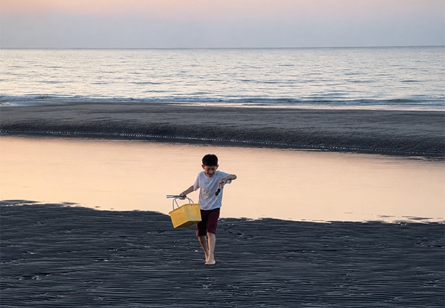 海岸生態體驗