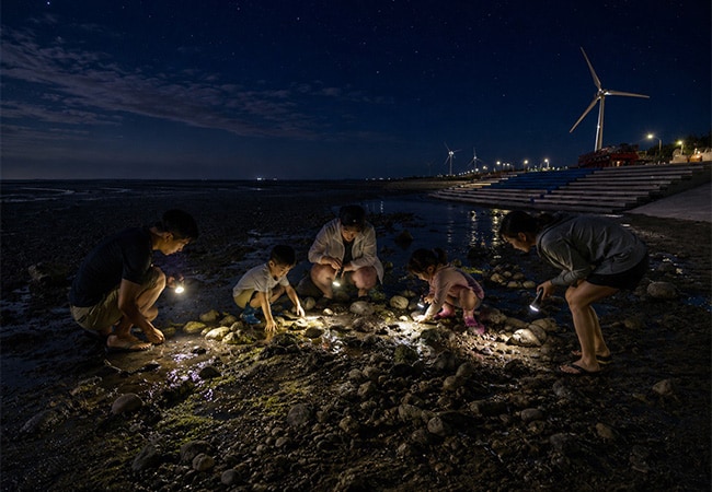 夜間海域生態體驗