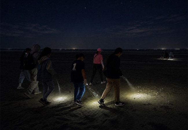 夜間海域生態體驗