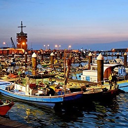 梧棲港觀光漁市