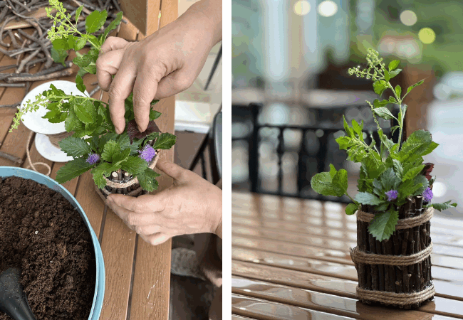 289157194_550185993272620_214074