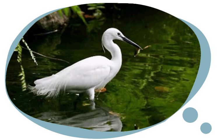 生態教育與自然體驗