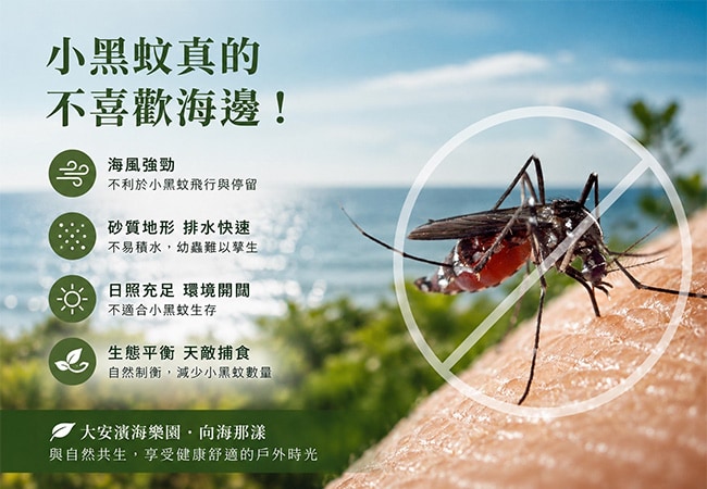 為什麼小黑蚊不喜歡海邊？