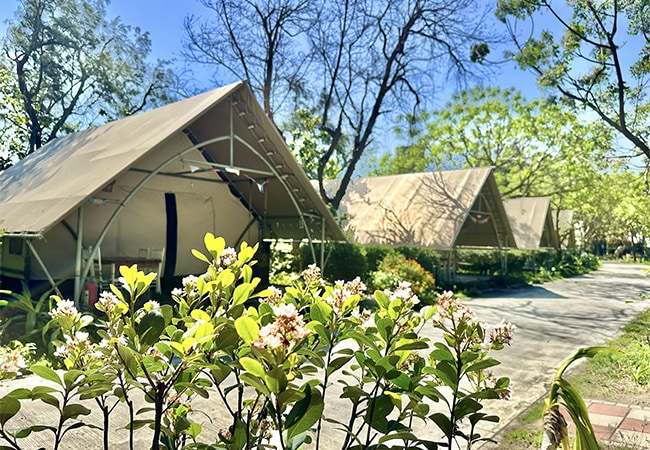 Family-Friendly Amenities