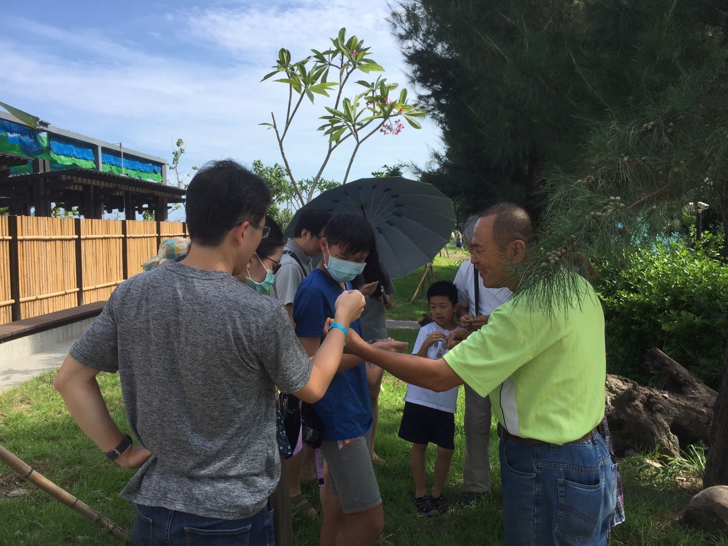 濱海樂園生物及活動參考圖片 濱海樂園生物及活動參考圖片