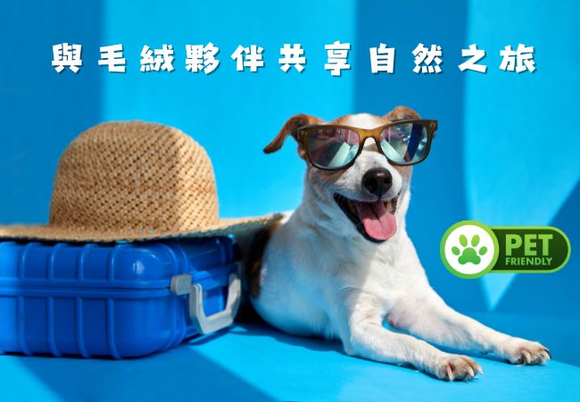 寵物豪華露營方案