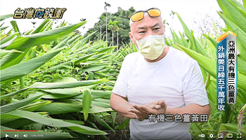 【影音】年代電視採訪