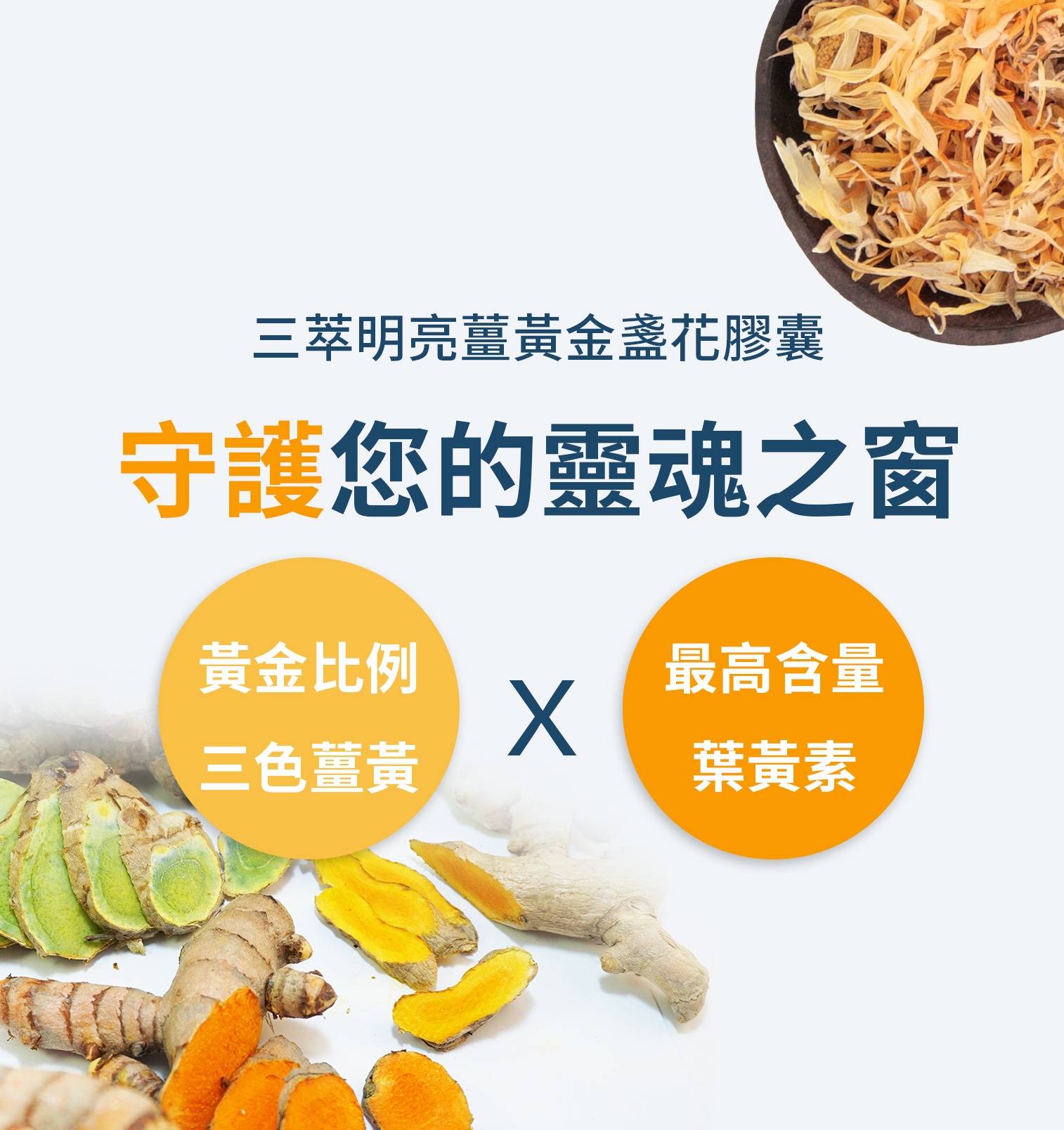20200914-金盞花膠囊m 20200914-金盞花膠囊m