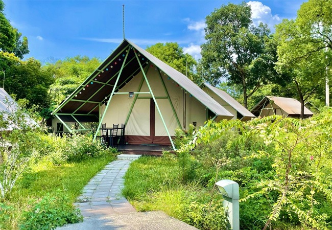 低碳排放旅遊豪華露營