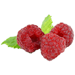 覆盆莓