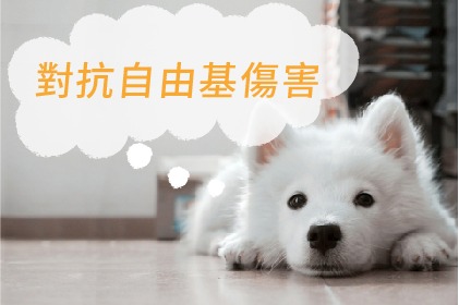 對抗自由基傷害 對抗自由基傷害