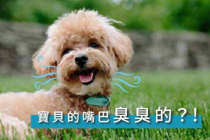 寶貝的嘴巴臭臭的?! 寶貝的嘴巴臭臭的?!