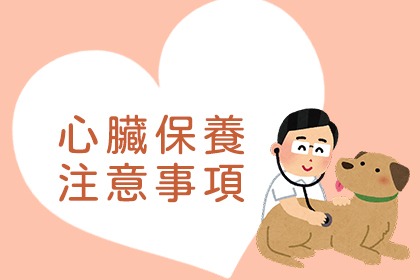 關於寵物的心臟養護 關於寵物的心臟養護