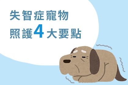 如何照護失智症寵物? 如何照護失智症寵物?