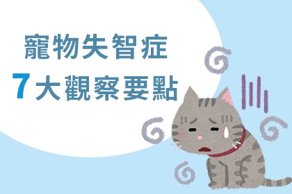 寵物失智症要怎麼觀察? 寵物失智症要怎麼觀察?