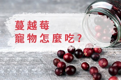 守護寵物泌尿健康-蔓越莓 守護寵物泌尿健康-蔓越莓