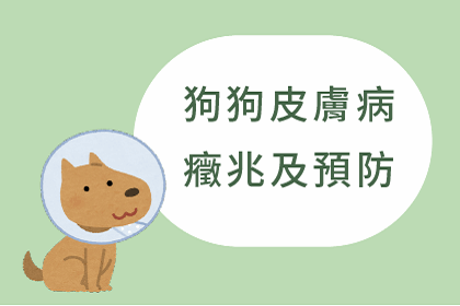 狗狗皮膚病癥兆及預防 狗狗皮膚病癥兆及預防