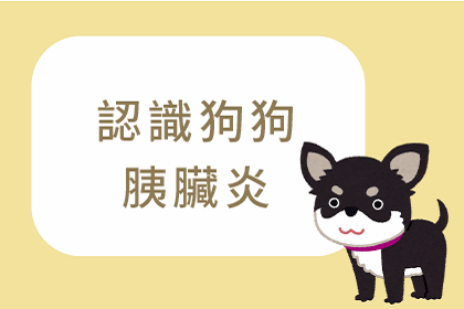 狗狗胰臟炎知多少 狗狗胰臟炎知多少