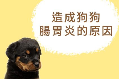 狗狗腸胃炎症狀與治療 狗狗腸胃炎症狀與治療