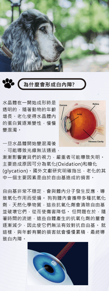 螢幕擷取畫面 2024-12-31 233509.png