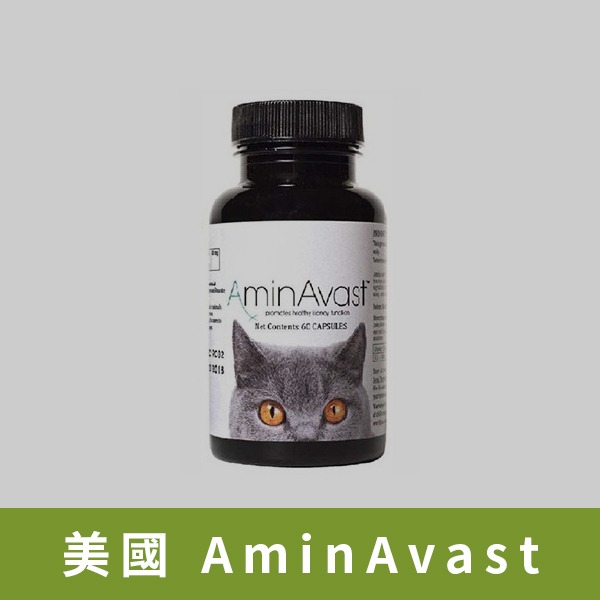 美國 AminAvast