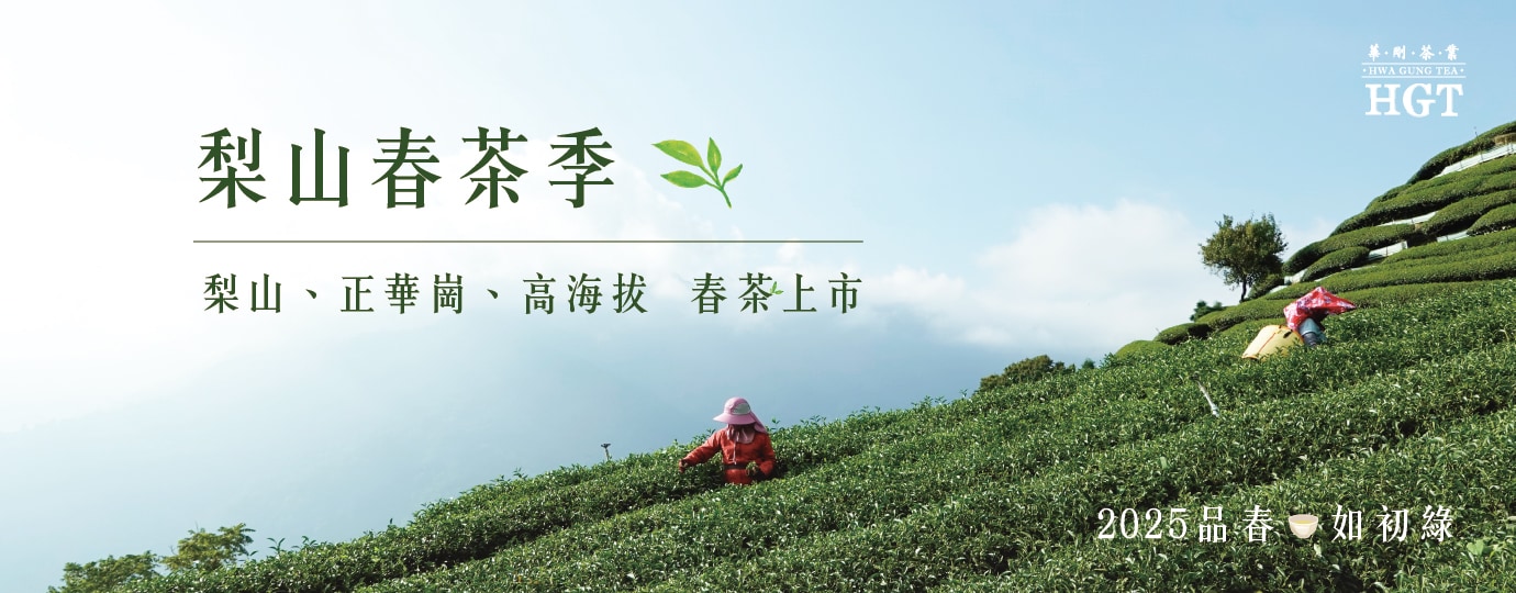 春茶BANNER 春茶BANNER